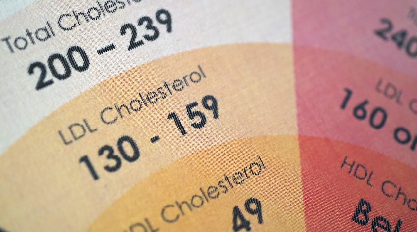 Understanding Cholesterol Levels and Their Impact On Your Health