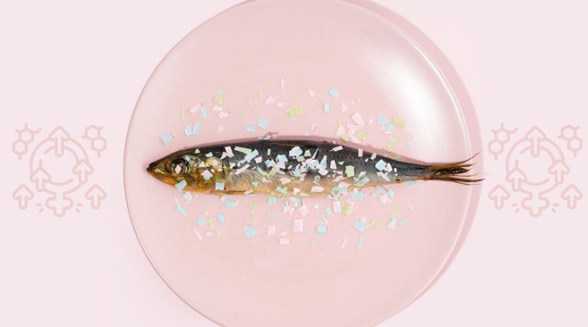 microplastics and estrogen levels
