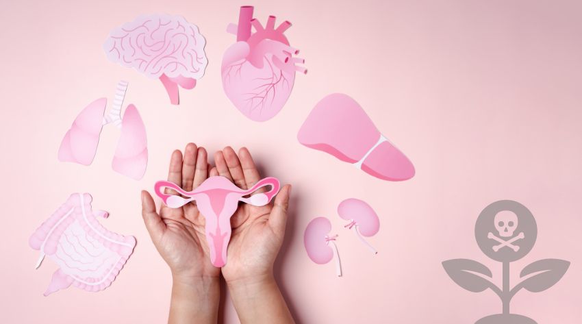 heavy metals and womens fertility study
