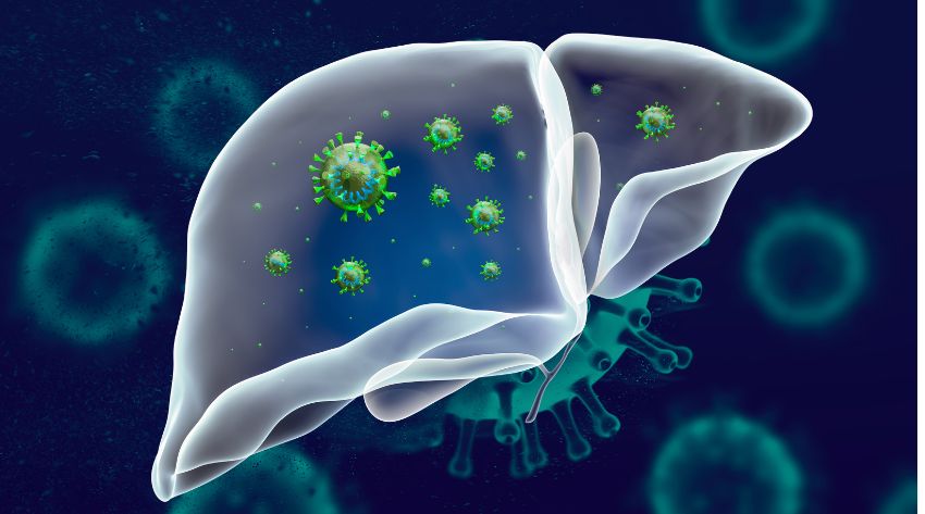 liver antiobiotics causing superbug