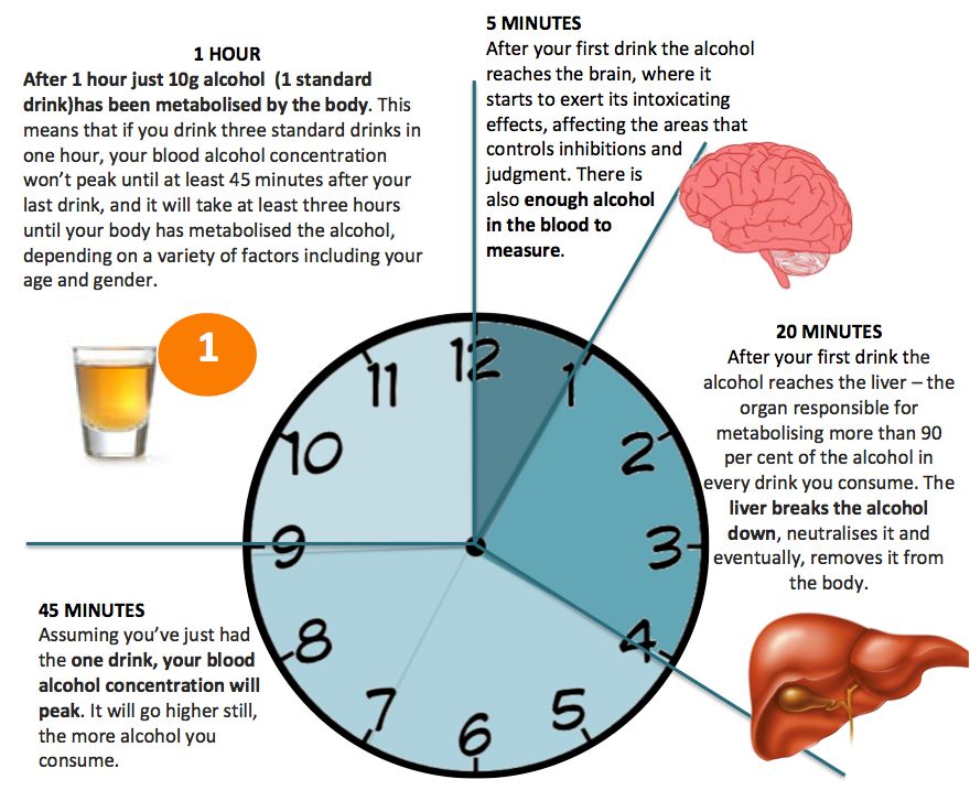 your body 1 hour post alcohol