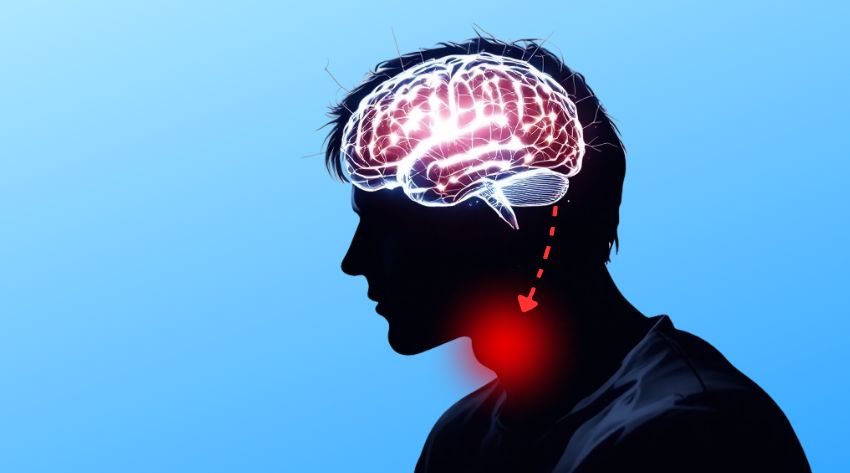 stress and thyroid health