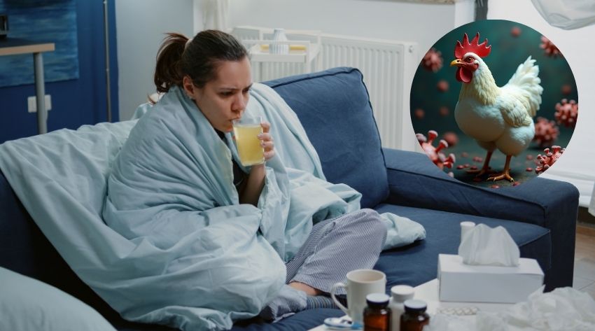 avoiding_bird_flu
