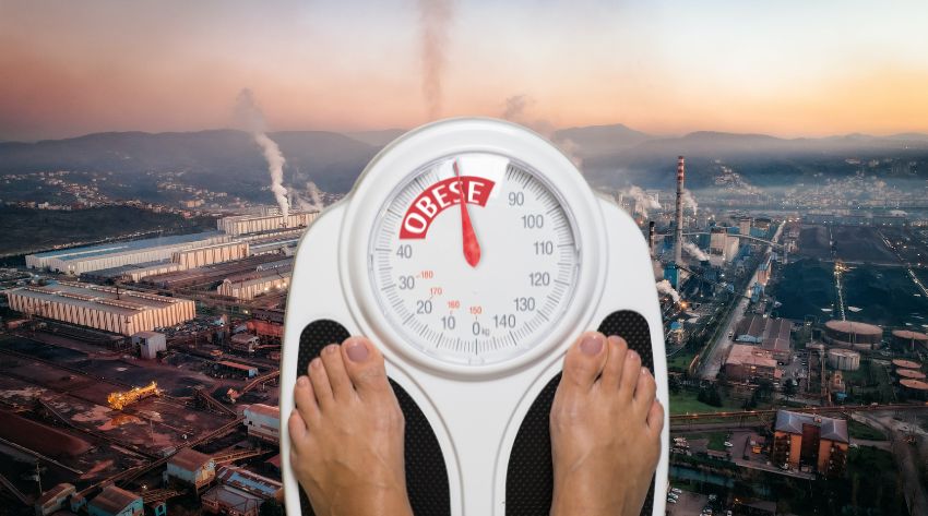 toxins, pesticides and obesity