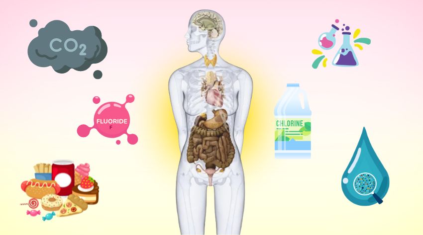 endocrine system disruptors